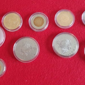 05) Alles Gold -hinten-